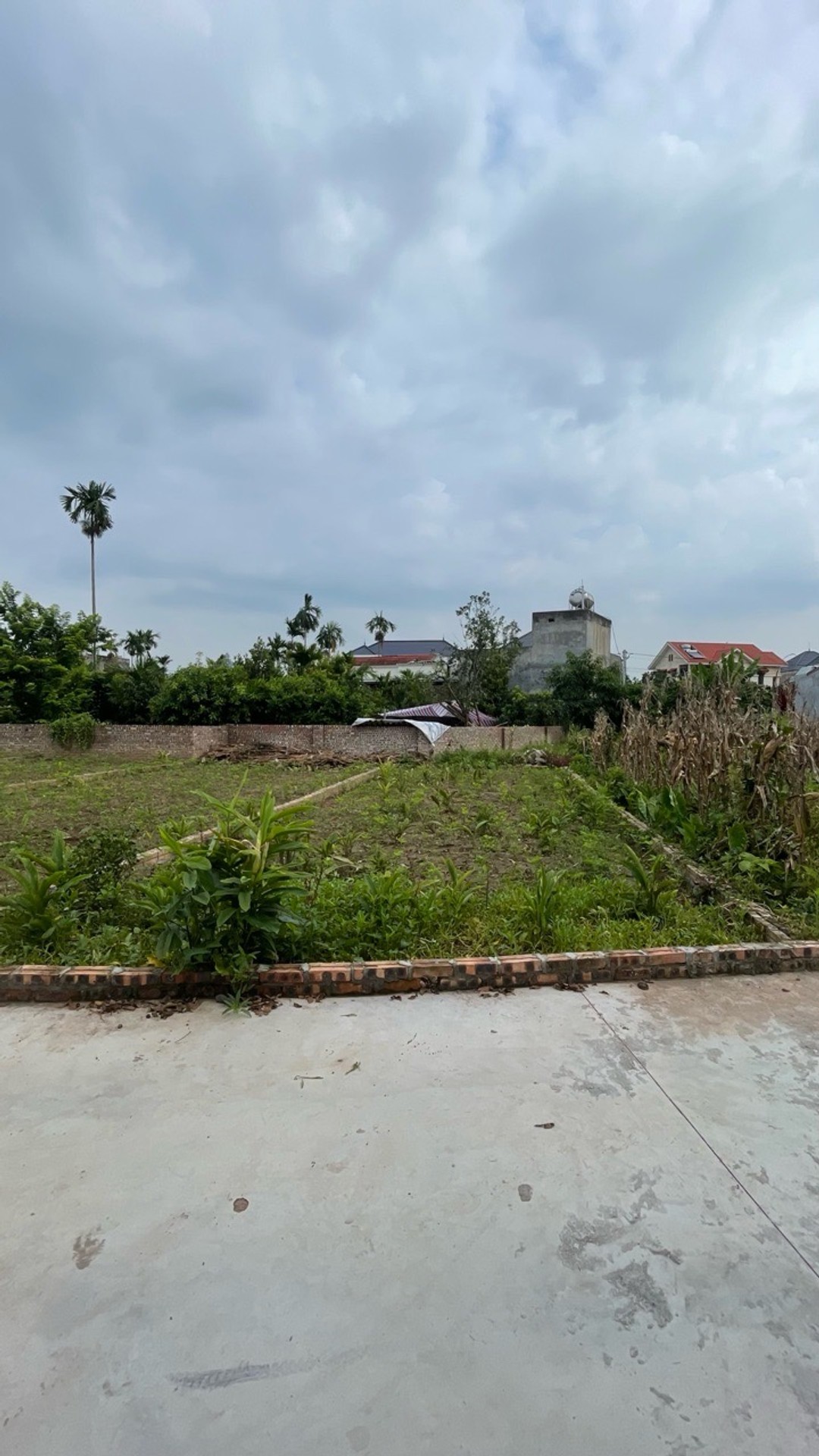 Bán đất , mặt tiền 5m tại Thôn Đức Nhuận, Triệu Việt Vương