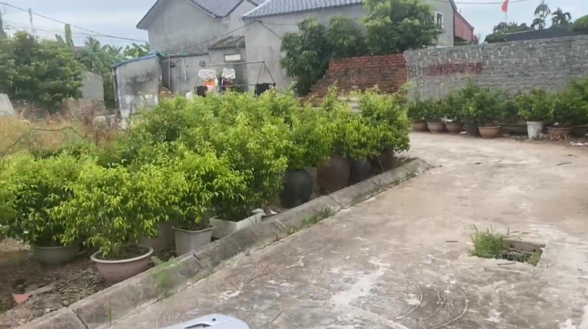 Đất thôn Đại Điền, xã Tân Viên, An Lão: Đầu tư lý tưởng với mặt tiền rộng 4,1m