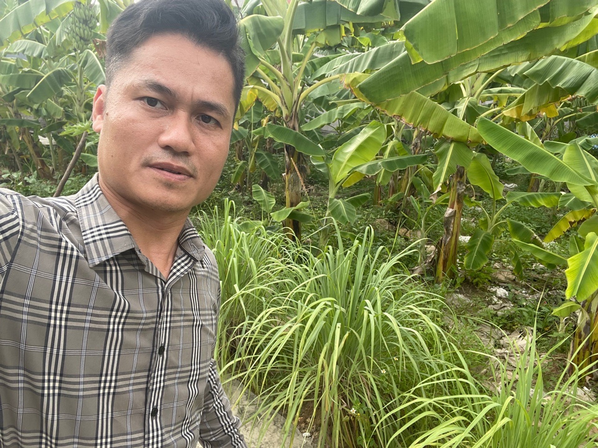 Cơ hội sở hữu lô đất vàng cạnh Nhà Văn hóa Thôn 3, Thủy Nguyên