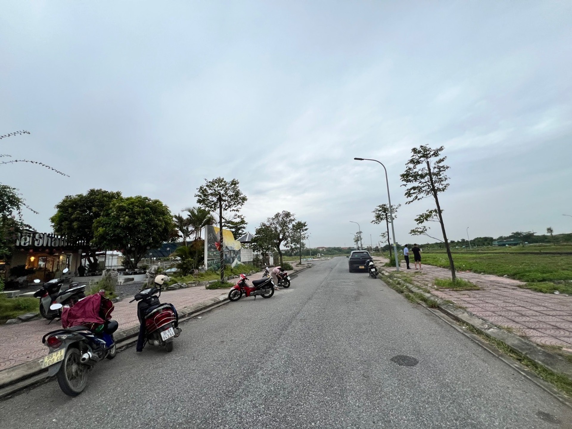 Đâú giá Đình tổ