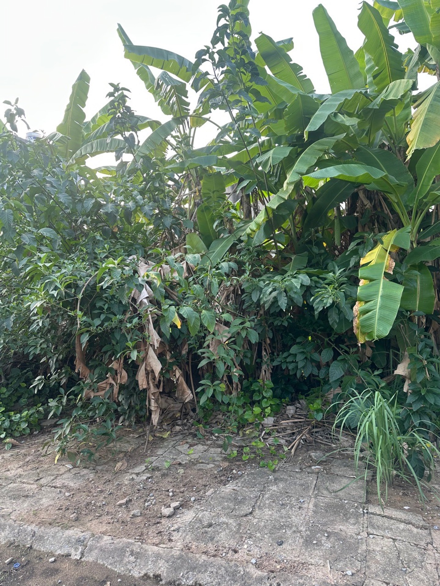 Cơ Hội Vàng Sở Hữu Đất Vị Trí Vàng Phường Hồng An