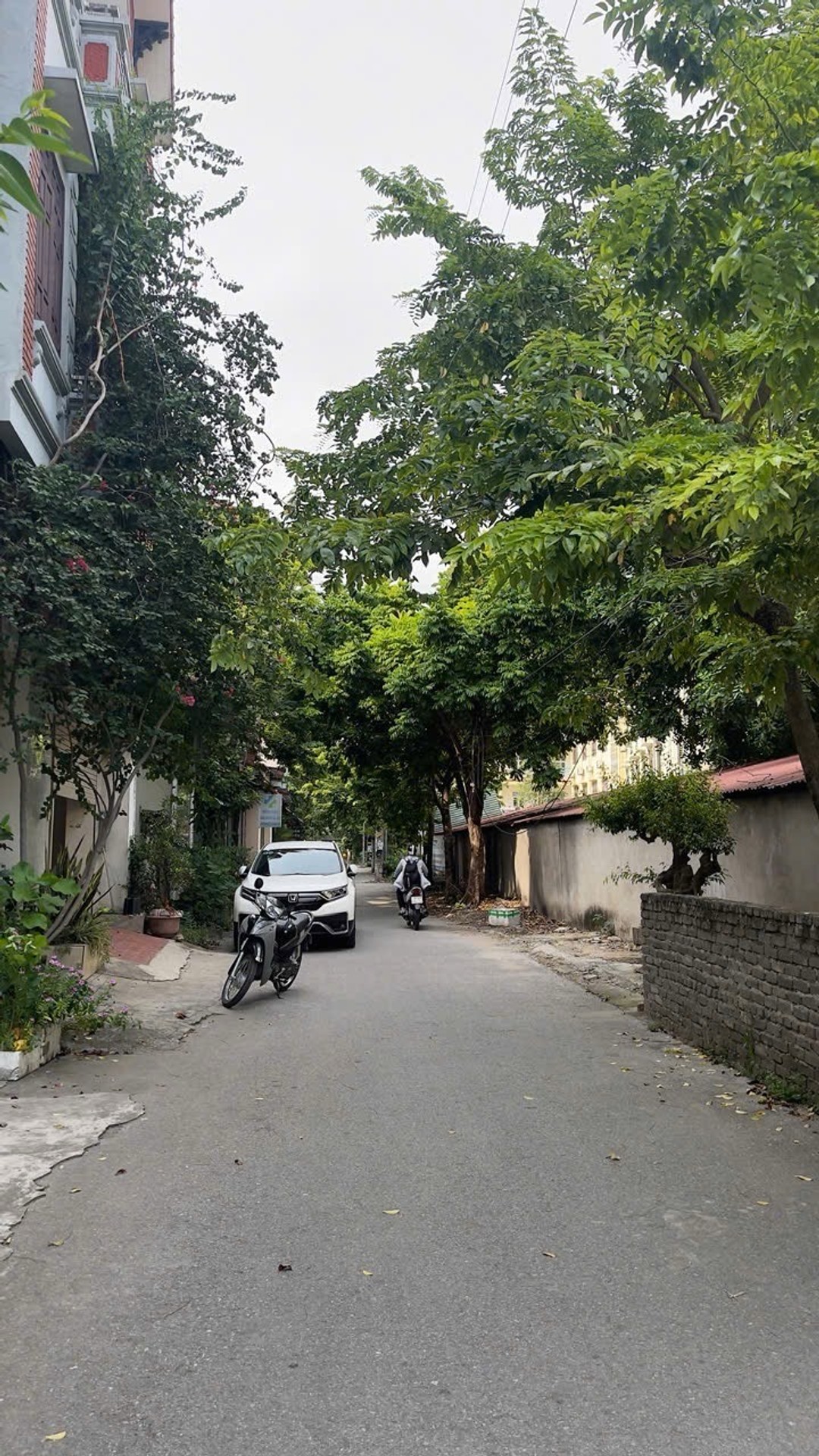 Nhà Kiểu Biệt Thự 3 Tầng Phường Đồng Kỵ, Ngõ Ô Tô Tránh, Vị Trí Vàng
