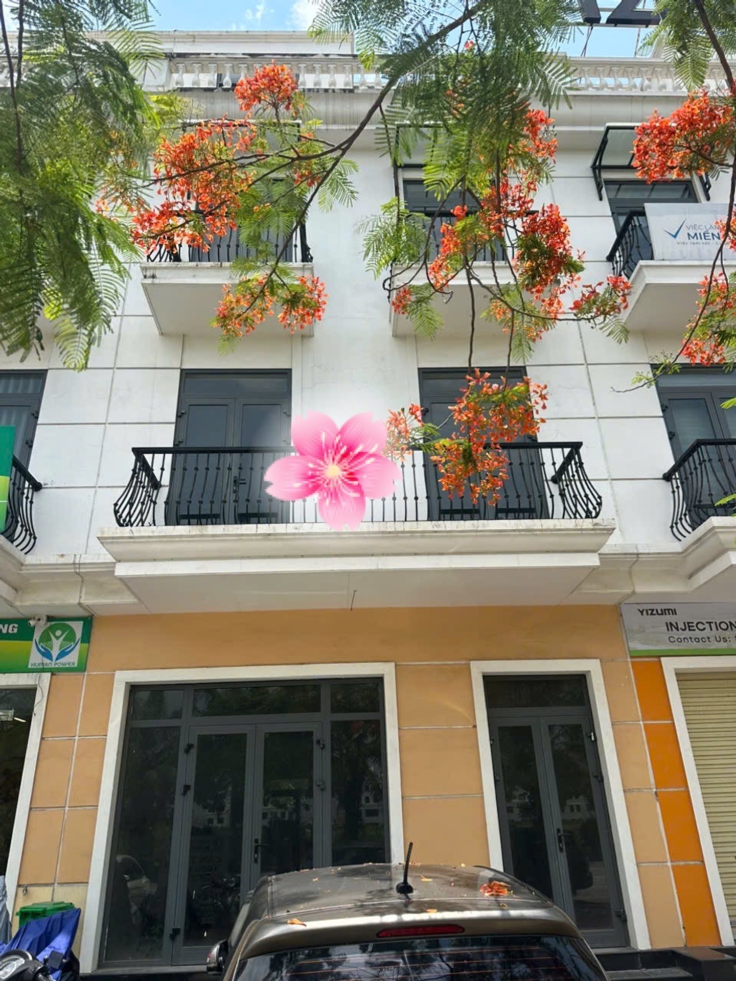 SIÊU PHẨM Shophouse Trung Tâm Evergreen Tràng Duệ - Kinh Doanh Đỉnh Cao, Vỉa Hè Rộng Thoáng