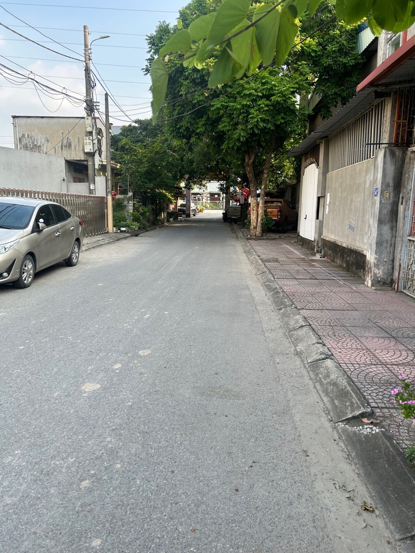 Cơ hội vàng sở hữu đất mặt phố Lệnh Bá Chính Trọng hiếm có khó tìm