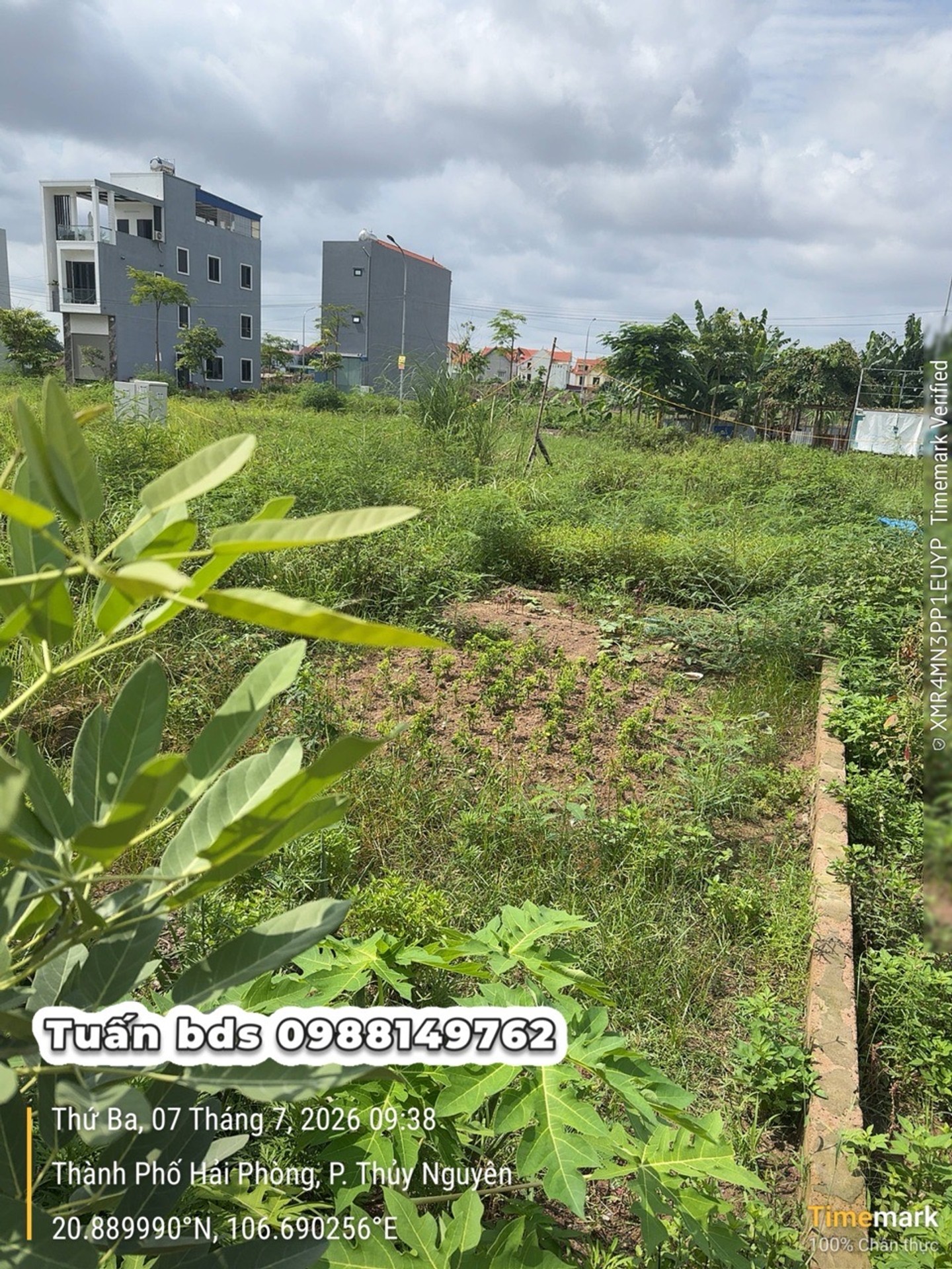 Lô Đất Vàng Tái Định Cư Điểm B, Thủy Nguyên - Nơi Đầu Tư Không Thể Bỏ Lỡ