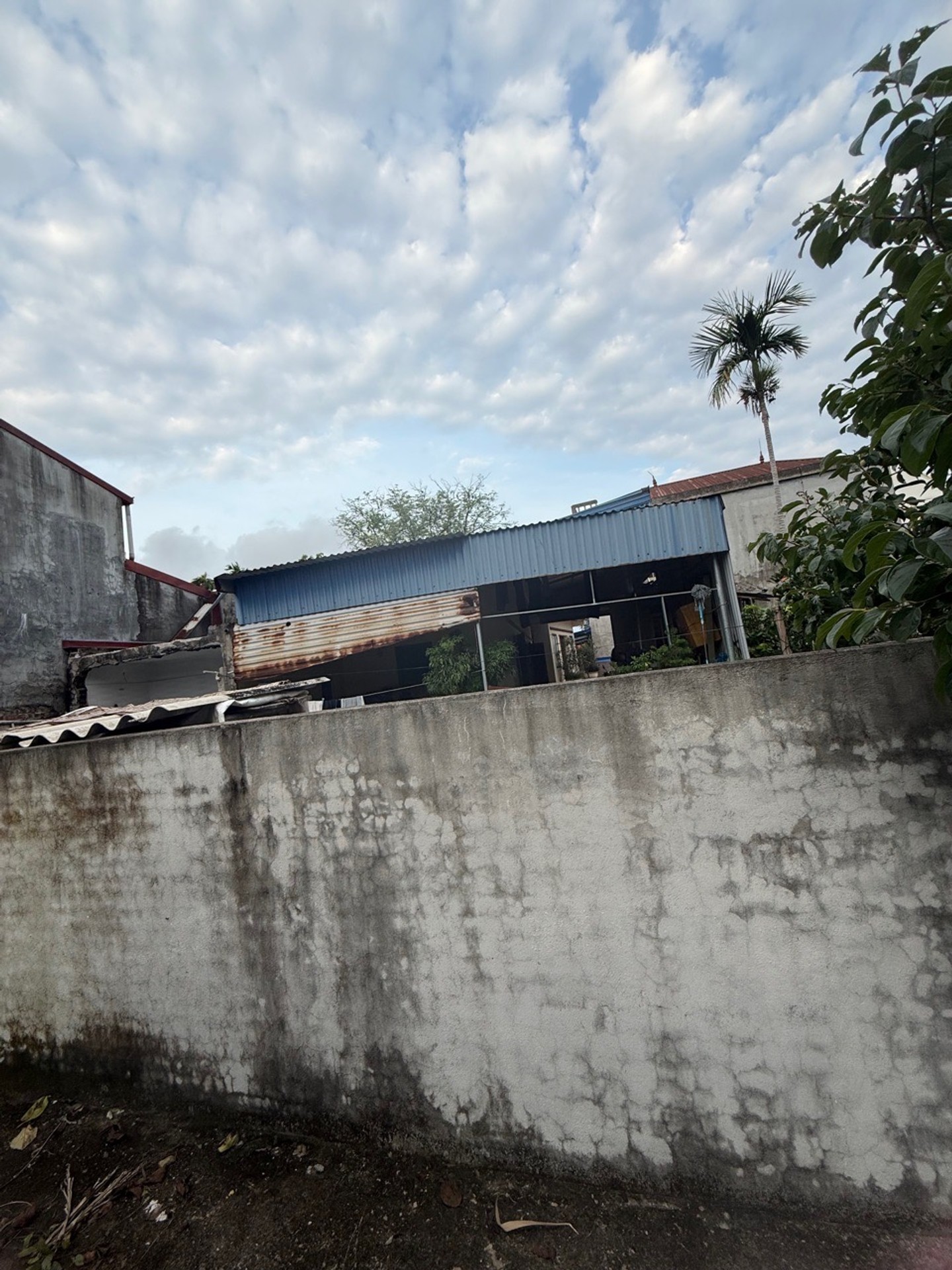 Cơ Hội Vàng Sở Hữu Đất Đẹp Ngõ Rộng Tại Tràng Cát