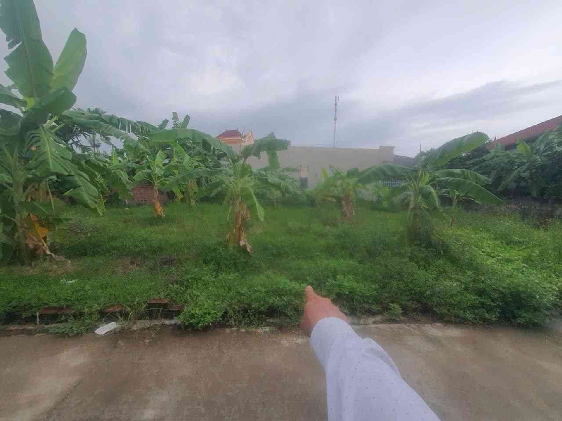Cơ Hội Sở Hữu Đất Vàng Tại Lưu Kiếm Thủy Nguyên - Vị Trí Vàng, Tiềm Năng Tăng Giá Mạnh
