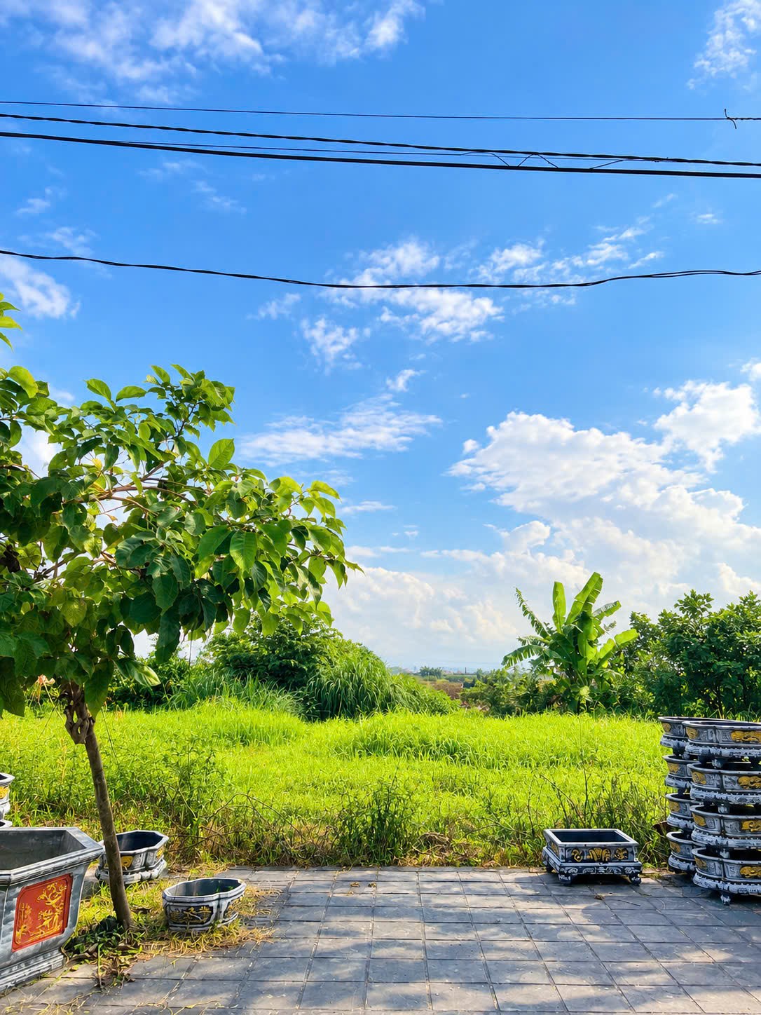 🔥 THIẾT TRỤ – MỄ SỞ | 85M² – MT 6M – NỞ HẬU – 4.X TỶ 🔥