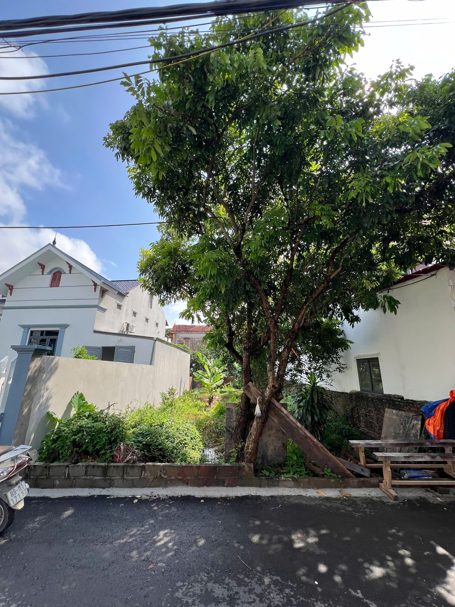 🔥 BÁN ĐẤT BẰNG NHA MỄ SỞ – HƯNG YÊN | 125M² – MT 7M – TRỤC CHÍNH KINH DOANH - ĐƯỜNG 8M Ô TÔ TRÁNH