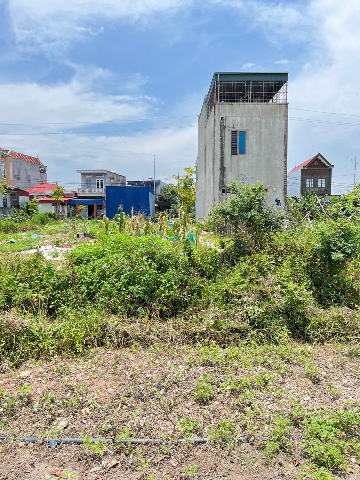 Lô đất đẹp 100m² tại thôn Đường Đá, xã Hoa Động, Thủy Nguyên