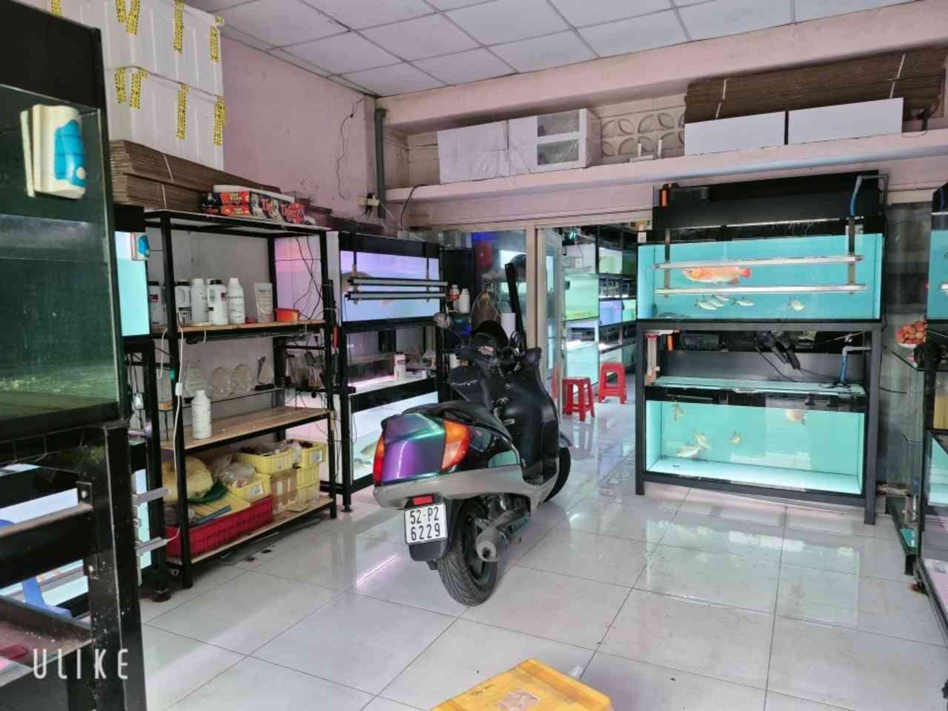 🏡 MẶT TIỀN KINH DOANH – ĐƯỜNG SỐ 9, LINH XUÂN – 5,3 Tỷ