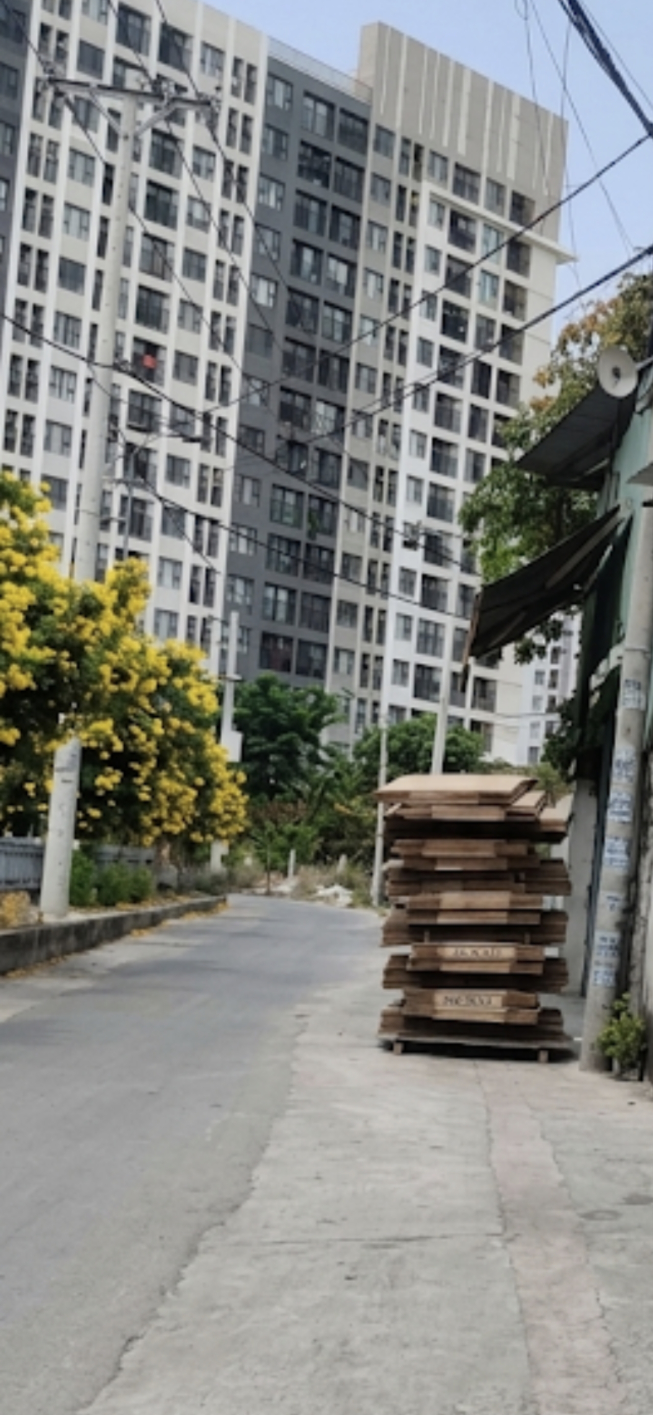 ✅CHDV THẠNH XUÂN 13 QUẬN 12 - 81M² - NGANG 5M - 4 TẦNG - 13 PHÒNG - NHỈNH 6 TỶ
