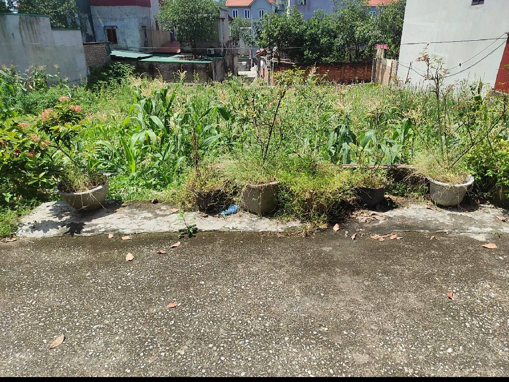 Cơ hội sở hữu đất nền vị trí đẹp Ngô Xá giá tốt, diện tích rộng 73m²