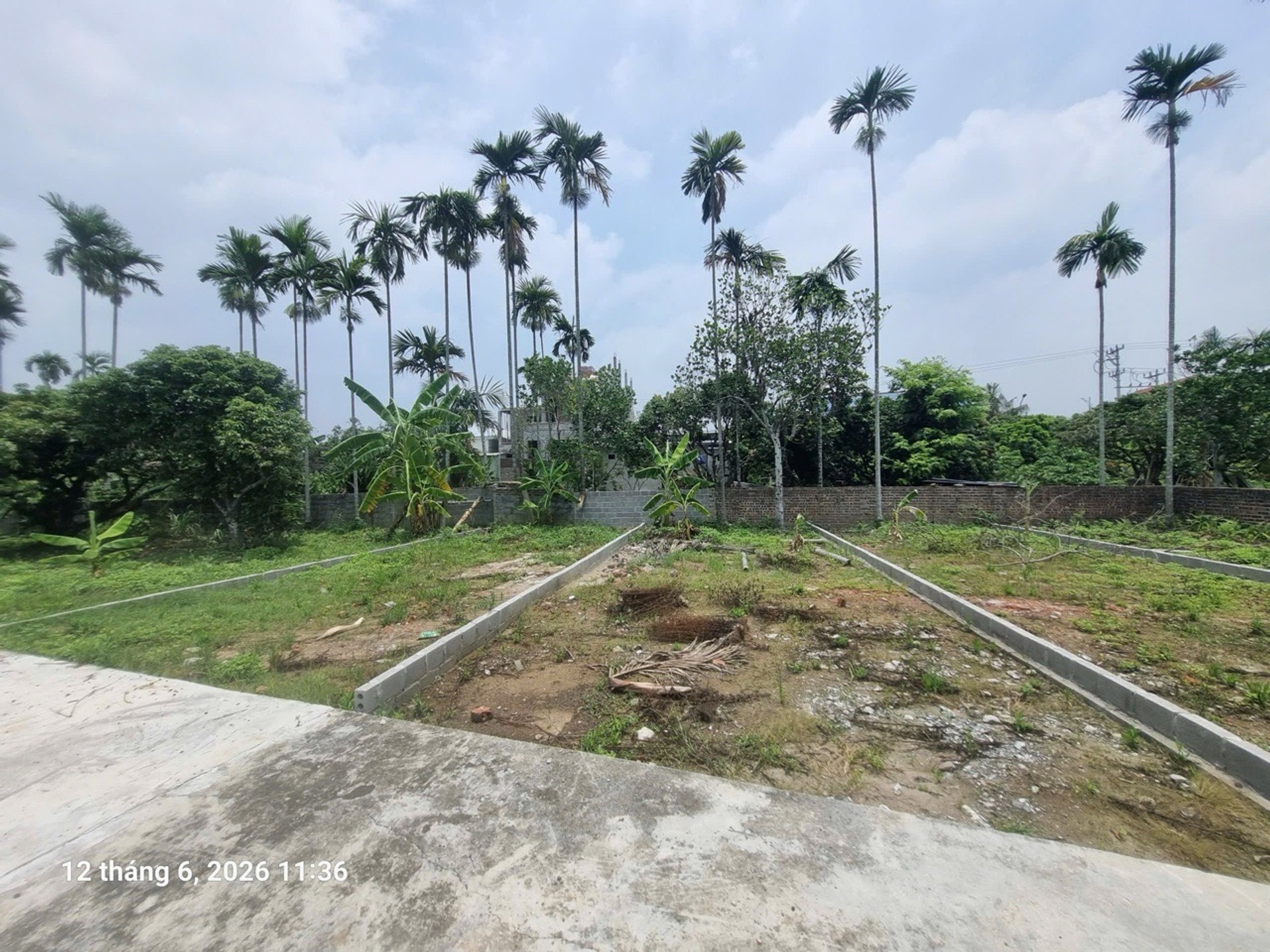 Lô đất rộng 61m² hướng Nam tại Thôn Hạ Trang, An Trường - Hải Phòng