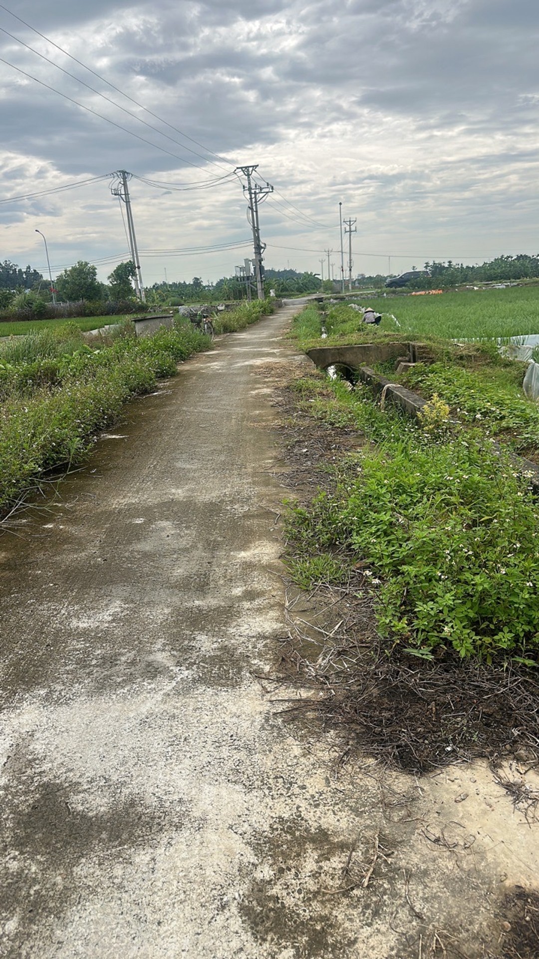 Đất nền rộng 247 m² mặt tiền 5.7 m tại Thủy Nguyên – tiềm năng phát triển lớn