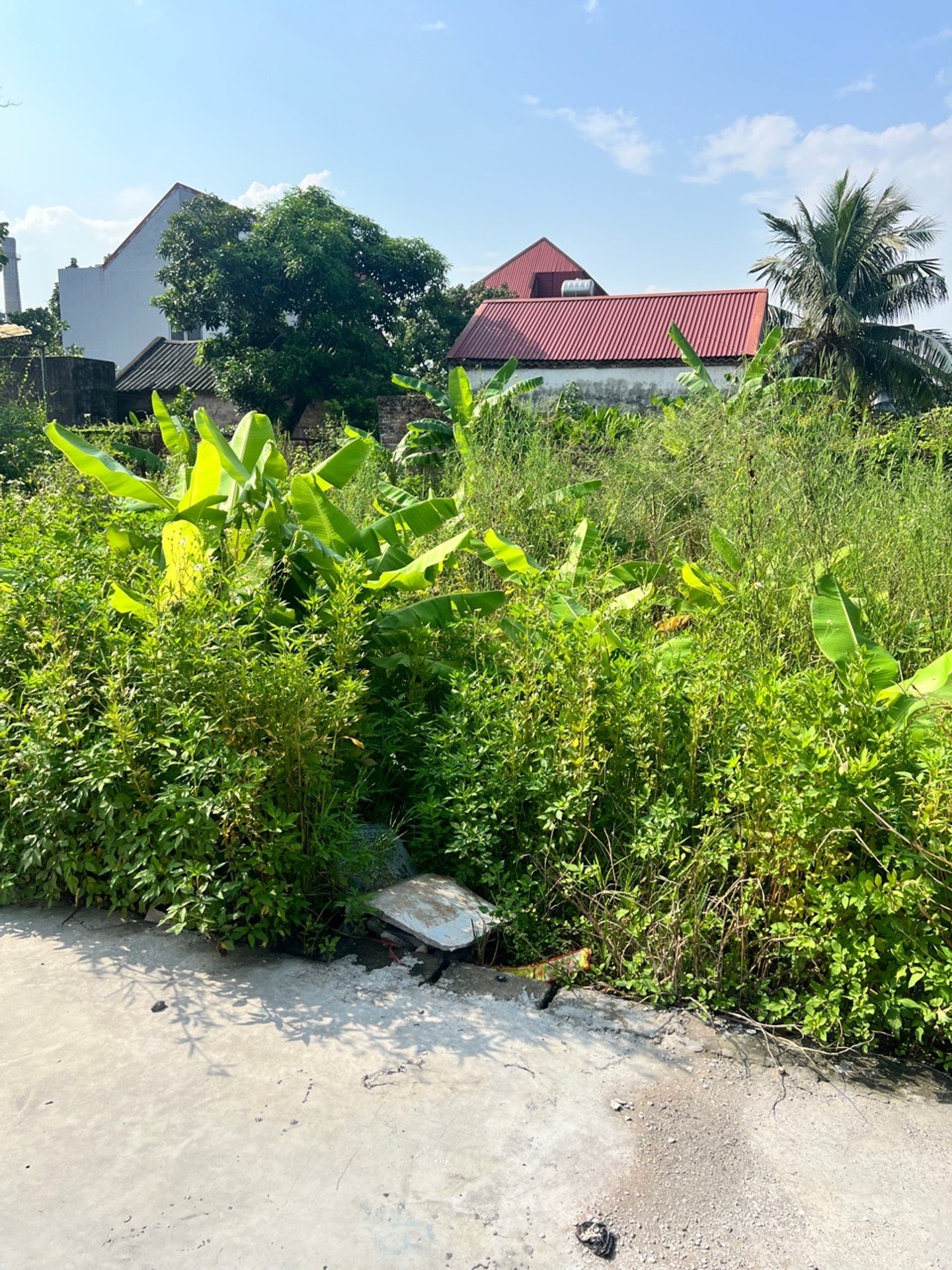 Đất đẹp hướng Đông Bắc gần Khu công nghiệp Quán Toan, thuận tiện phát triển