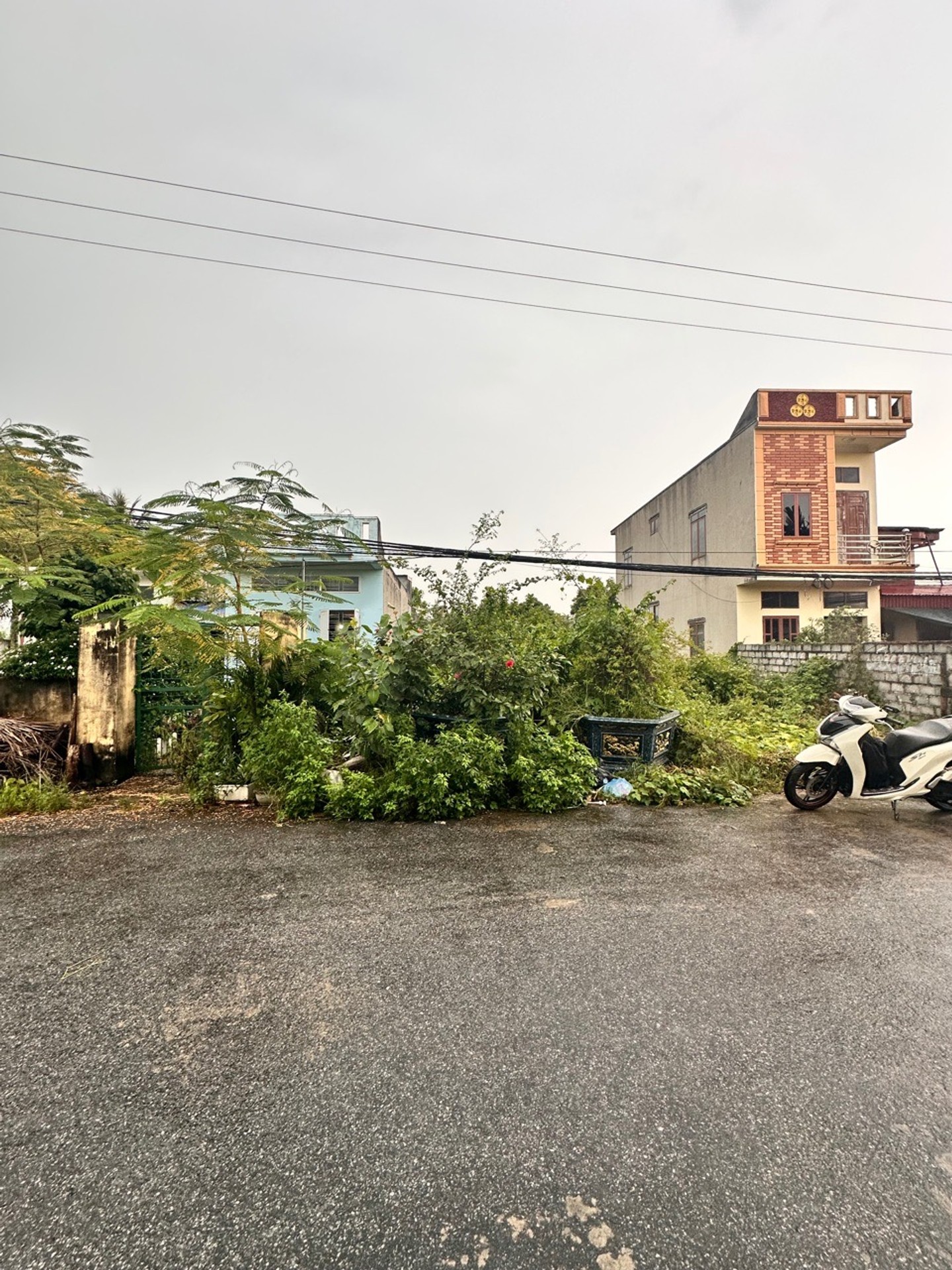 Lô Đất Mặt Đường Thôn Đại Hoàng 2, Xã Tân Dân, Huyện An Lão, Hải Phòng