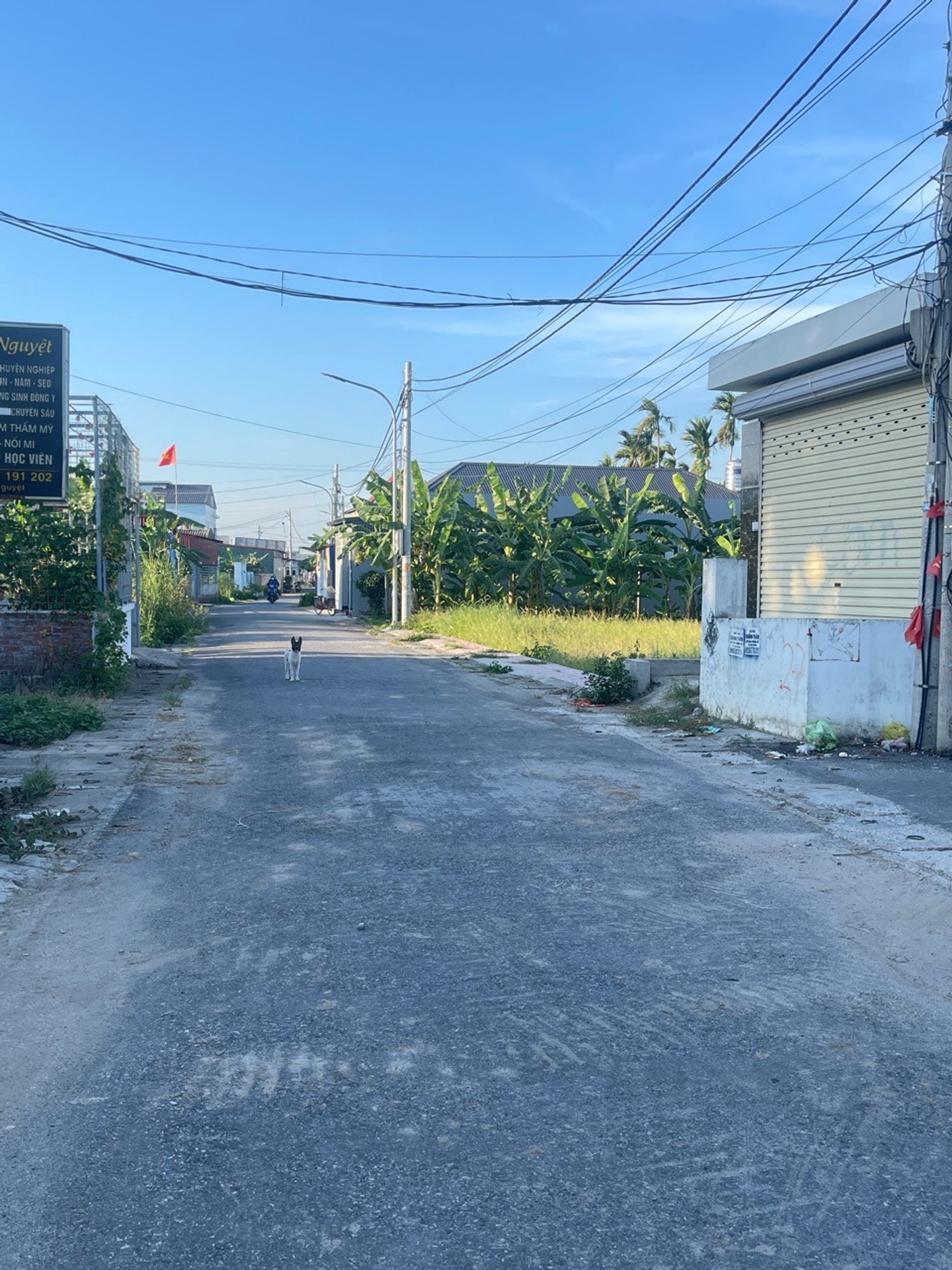 Bán đất mặt đường Đại Trang, An Trường, An Lão, lô góc hai mặt thoáng