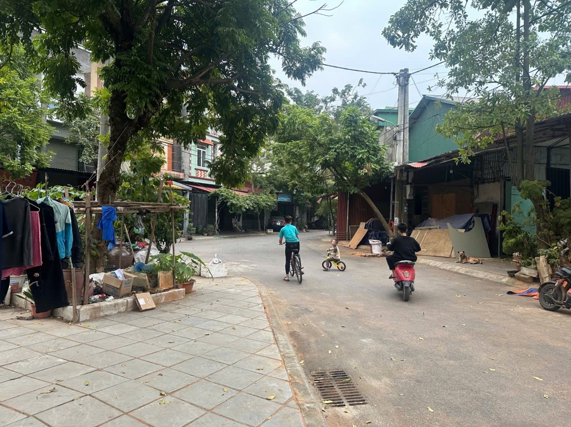 Cơ hội hiếm có tại Tiến Bào - Lô đất vàng đối diện vườn hoa, kinh doanh đỉnh