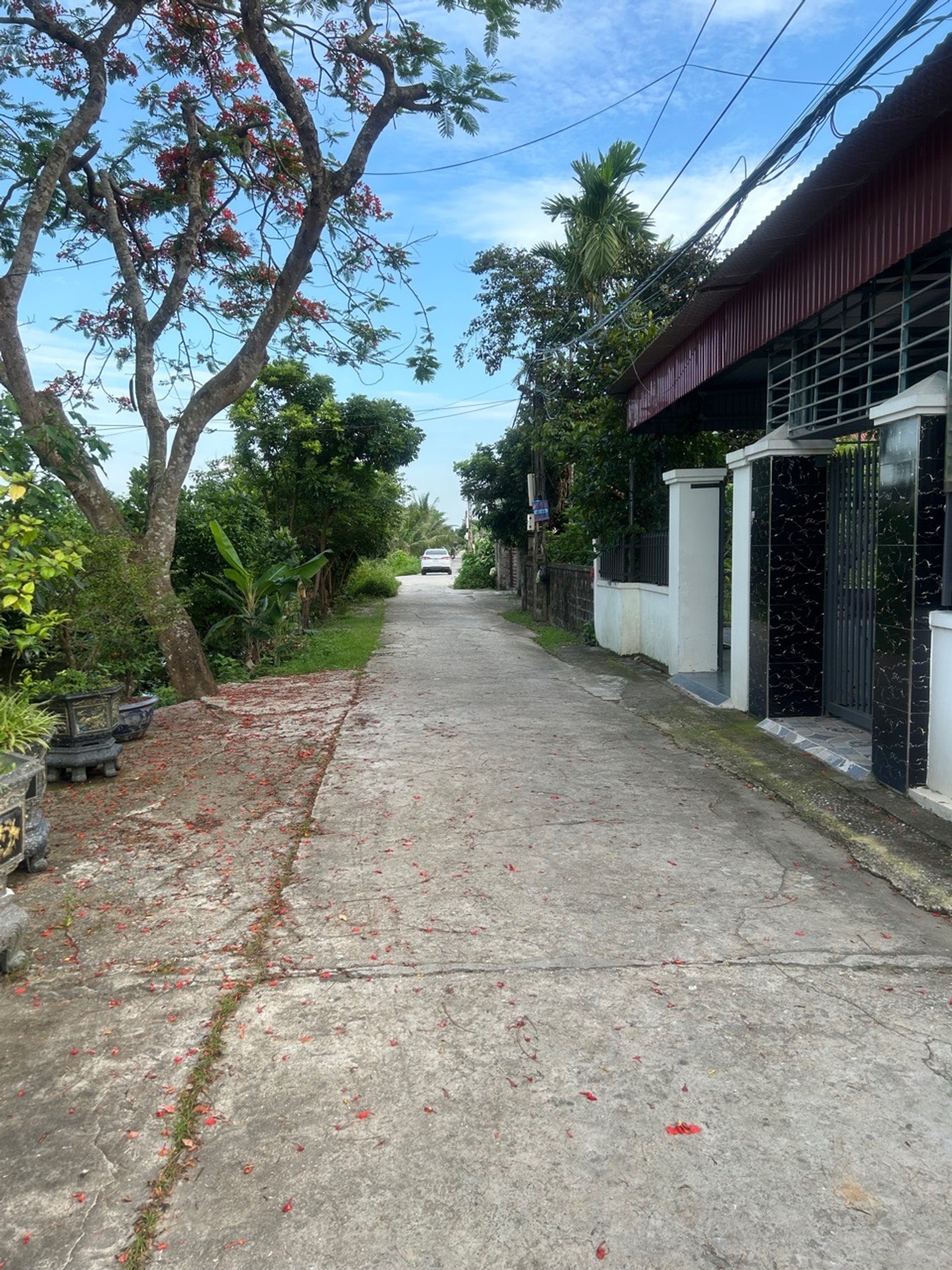 Đất Vàng Thôn Sú 2 Lâm Đồng - Ngõ Thông Rộng, Ô Tô Tránh, View Sông Mát Lành