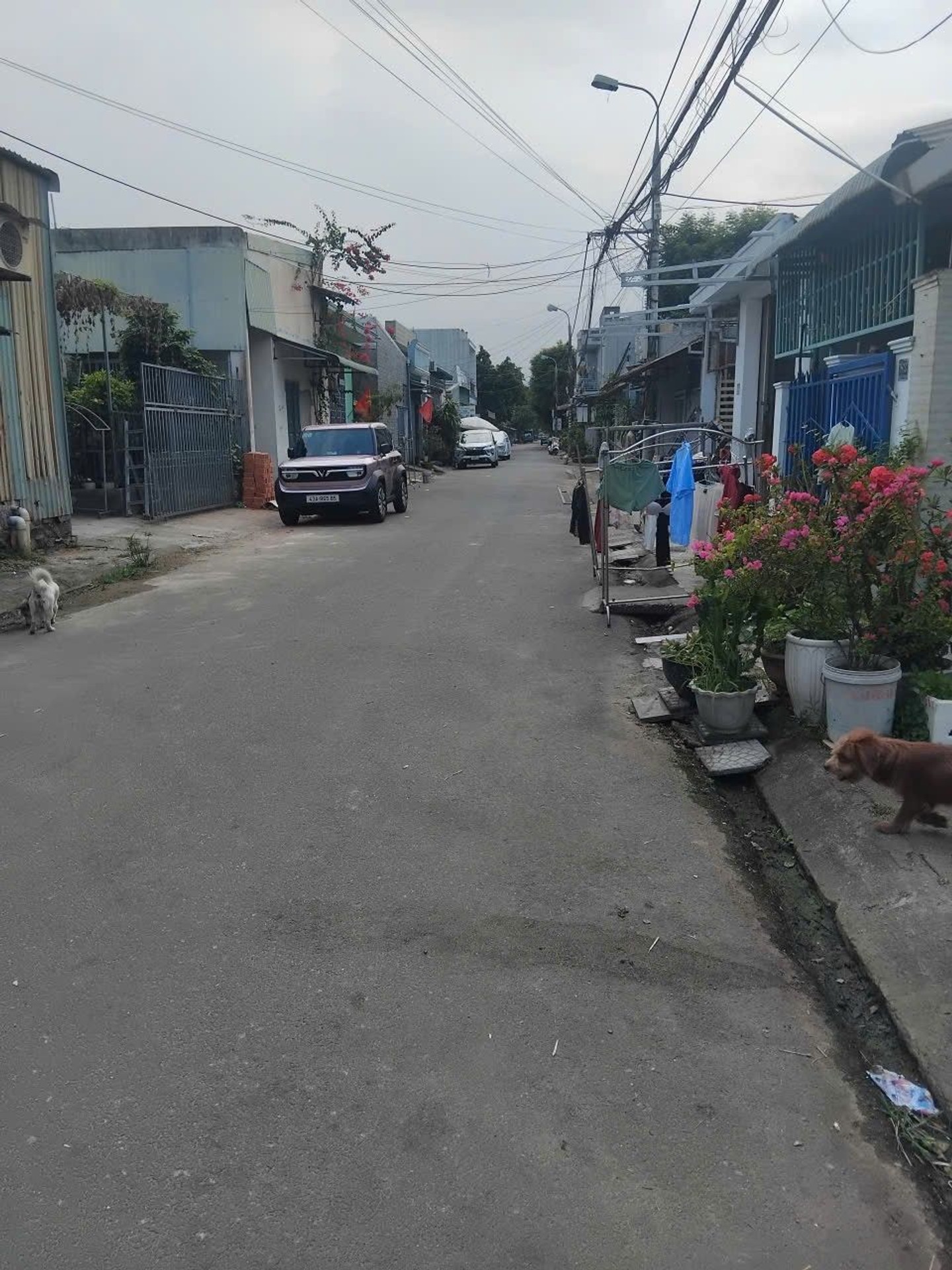 🔥 LÔ ĐẤT BIỆT THỰ 147M² – NGANG 7M – 2 MẶT THOÁNG – HÒA KHÁNH, ĐÀ NẴNG 🔥