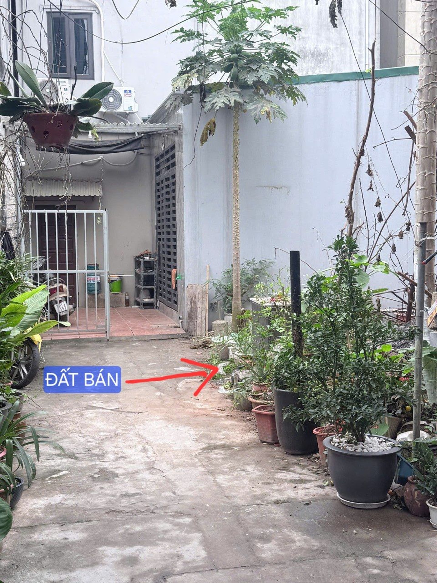 Cơ hội hiếm có đất đẹp tại Yên Hòa giá ưu đãi