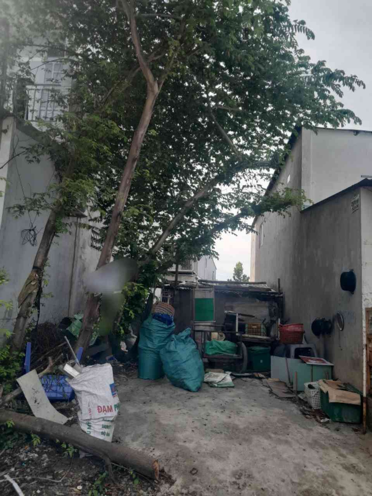 Bán đất hai mặt tiền tại khu dân cư 584 Huỳnh Bá Chánh, Bình Chánh, diện tích 95.5m²