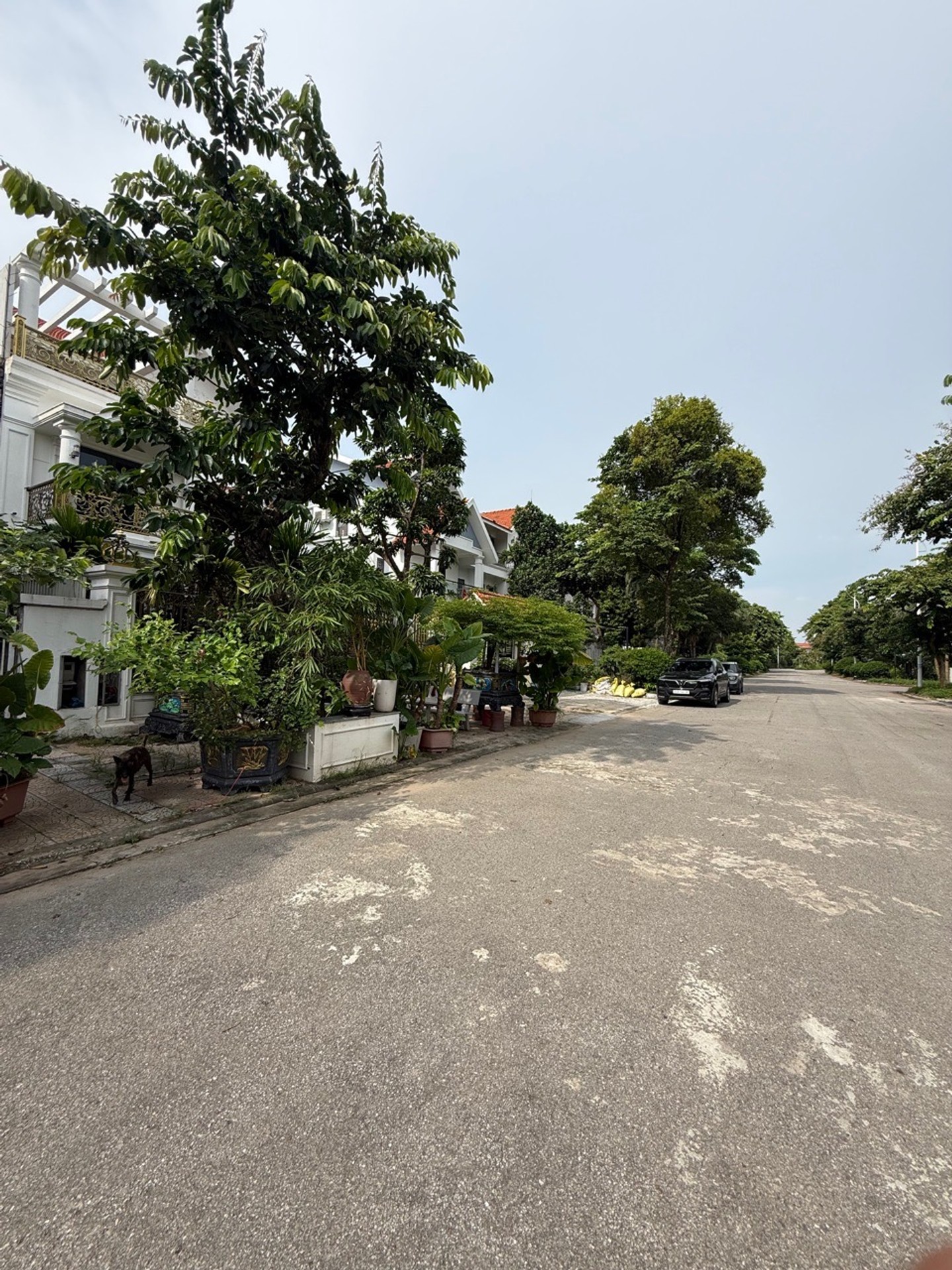 Biệt thự Pháp sang trọng tại Long Việt Riverside, tặng full nội thất tiền tỷ