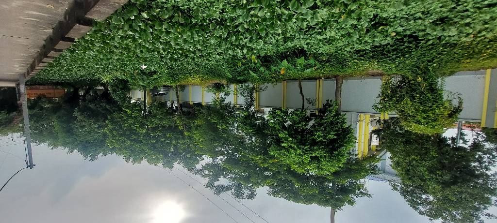 Cơ Hội Vàng Sở Hữu Đất Rộng Vị Trí Đẹp Tại Đông Mỹ