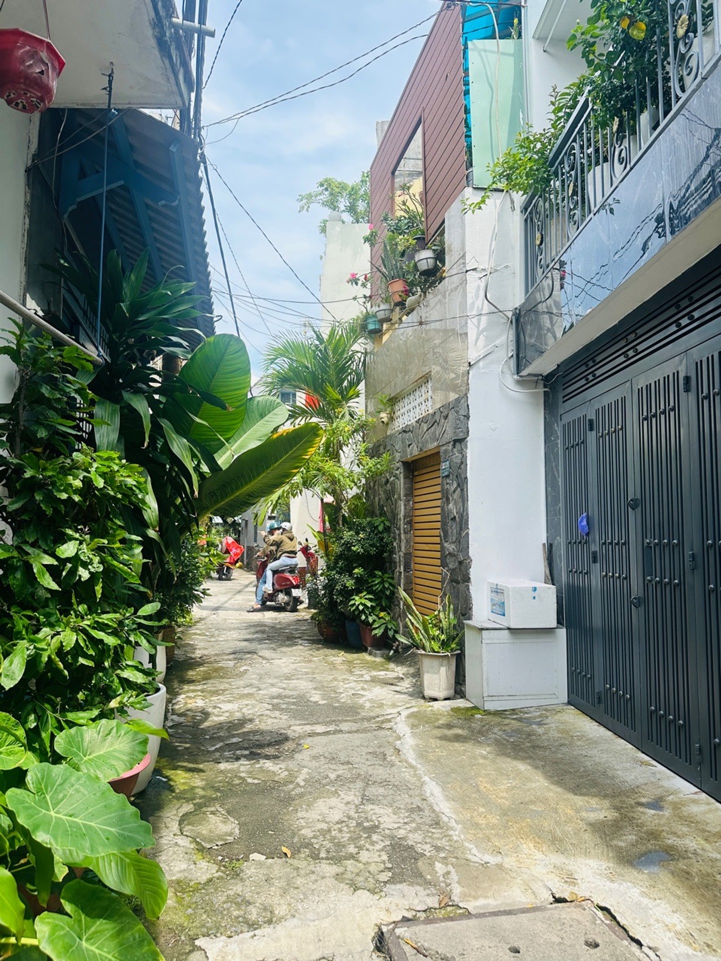 - QUANG TRUNG GÒ VẤP - NHÀ 4mx11m - HẺM BA GÁC - CHÀO 3,5 TỶ - TL
- SỔ HỒNG RIÊNG SANG TÊN NHANH