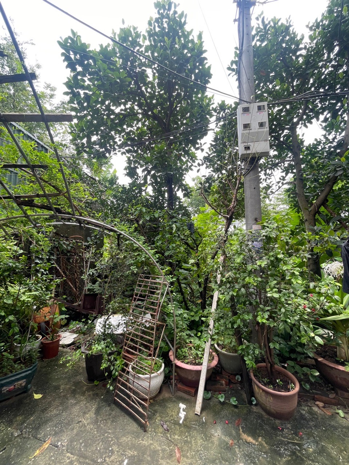 Bán nhà riêng 1 tầng ngõ 264 Ngọc Thụy, Long Biên, ô tô vào nhà, 2 mặt tiền