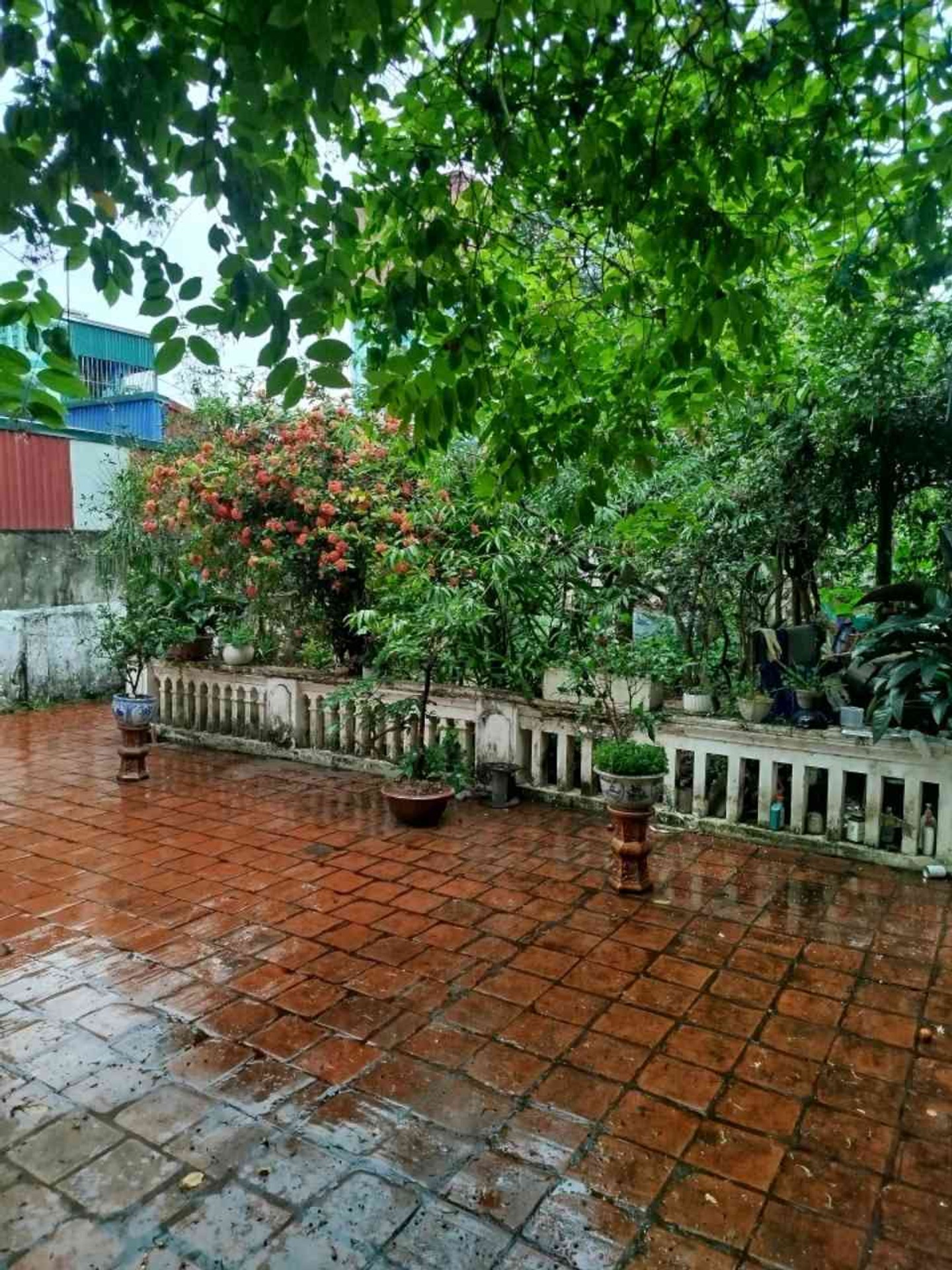 Mảnh đất vàng mặt tiền rộng tại Hạ Thái