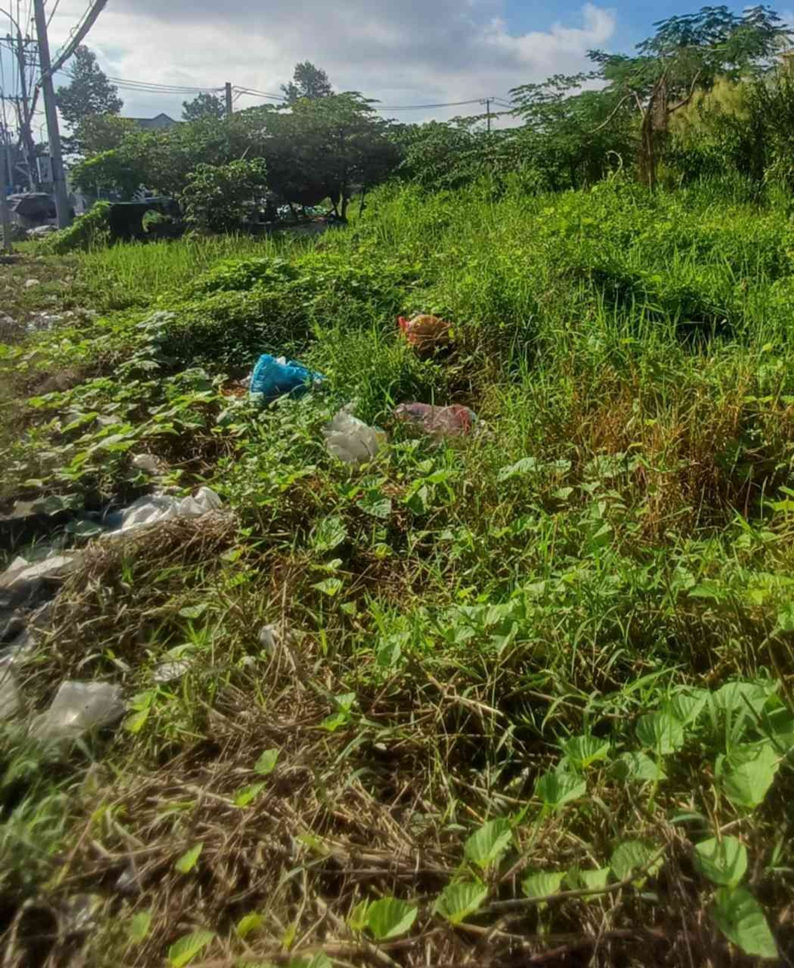 Bán đất tại xã Bình Lợi,trần văn giàu mặt tiền rộng 10m dài 20m , pháp lý rõ ràng
