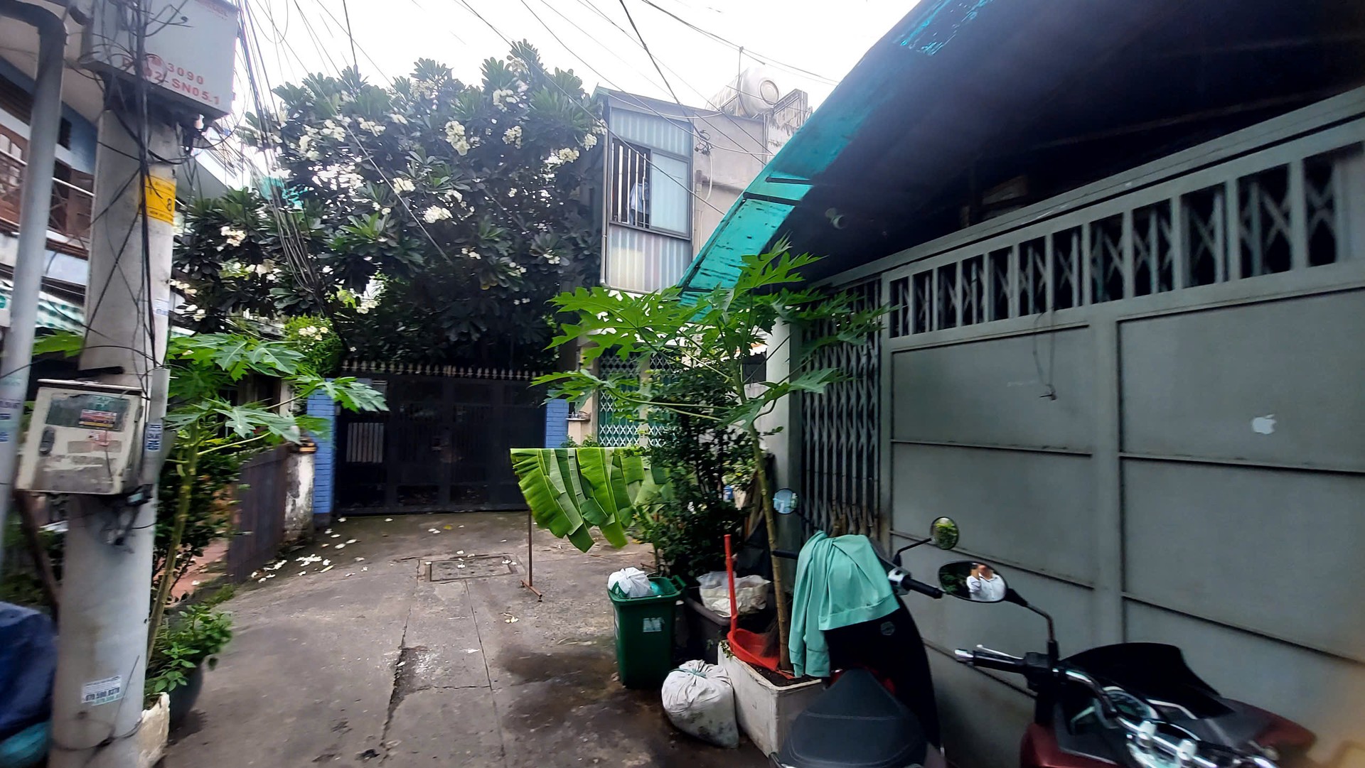 Biệt thự đẳng cấp với mặt tiền rộng giữa lòng quận 8