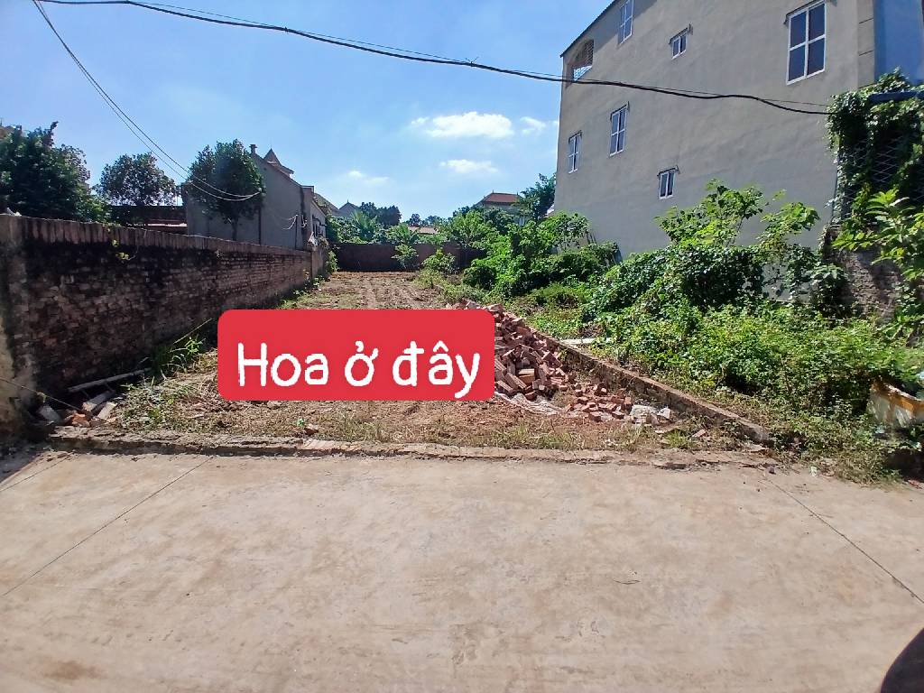 Cơ hội hiếm có sở hữu đất Phù Mã Sóc Sơn, tiện ích xung quanh thuận tiện