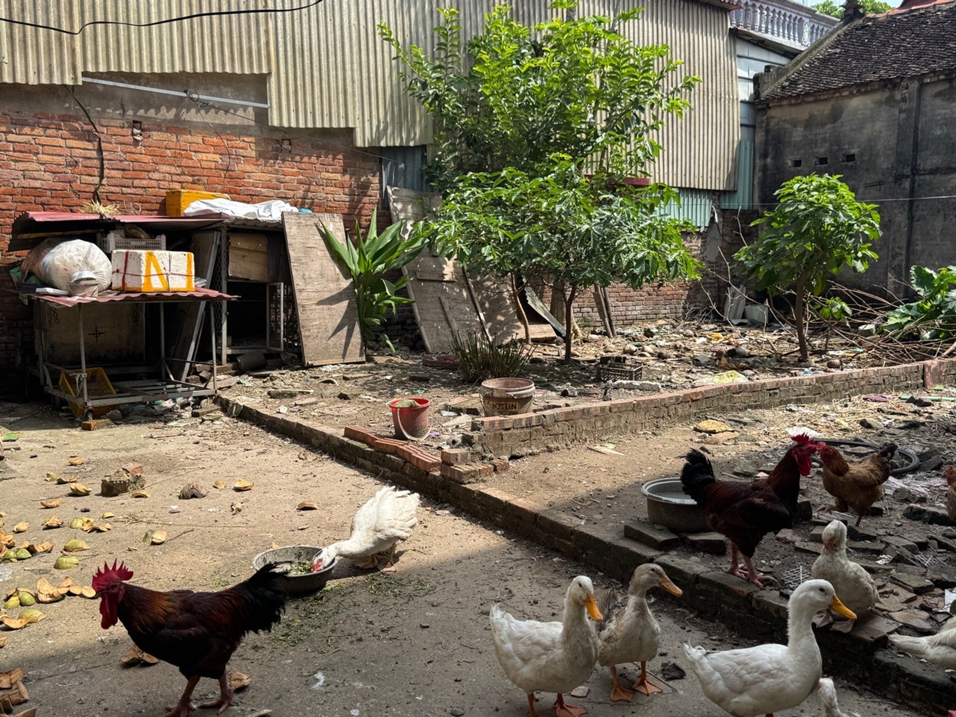 Đất Vuông Vắn Gần Trung Tâm, Giá Đầu Tư Siêu Hấp Dẫn