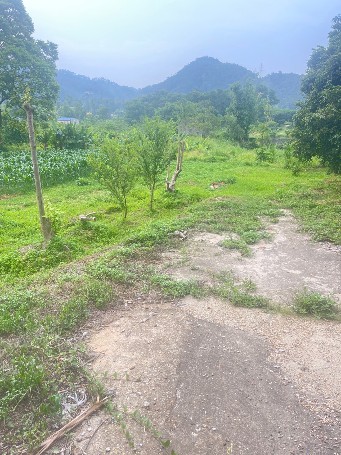 Bán 1830m2 Đất Trung Giã - Sóc Sơn - Vị Trí Gần Khu Nghỉ Dưỡng - Sóc Sơn - Phù Hợp Ở - Hoặc Đầu Tư
