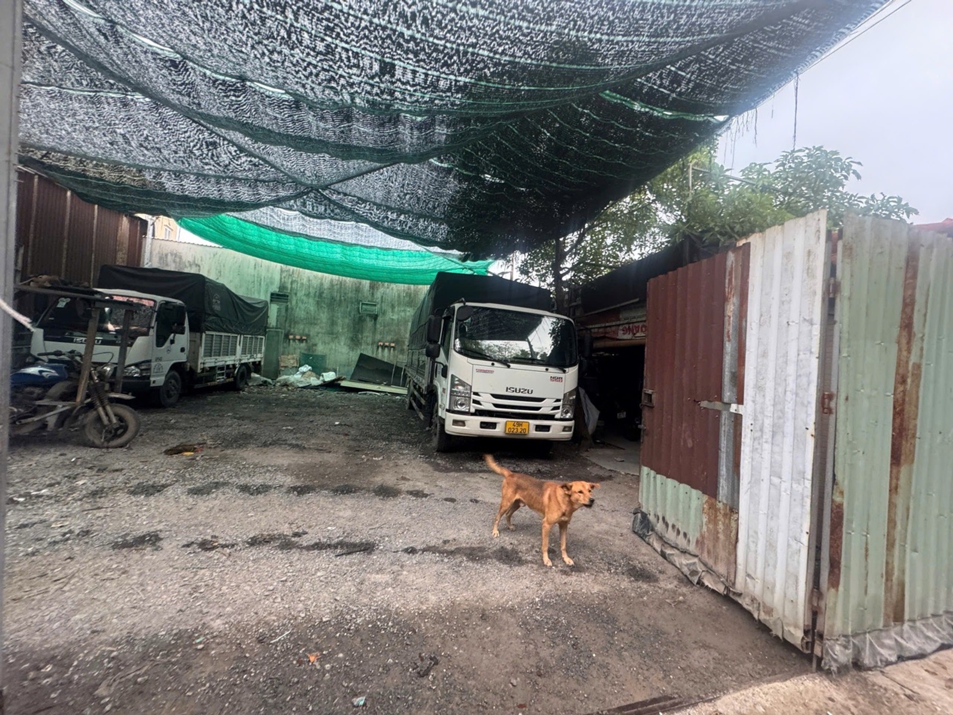 Đất Trống Nguyễn Thị Búp 150m2 đang cho thuê 60tr/ năm