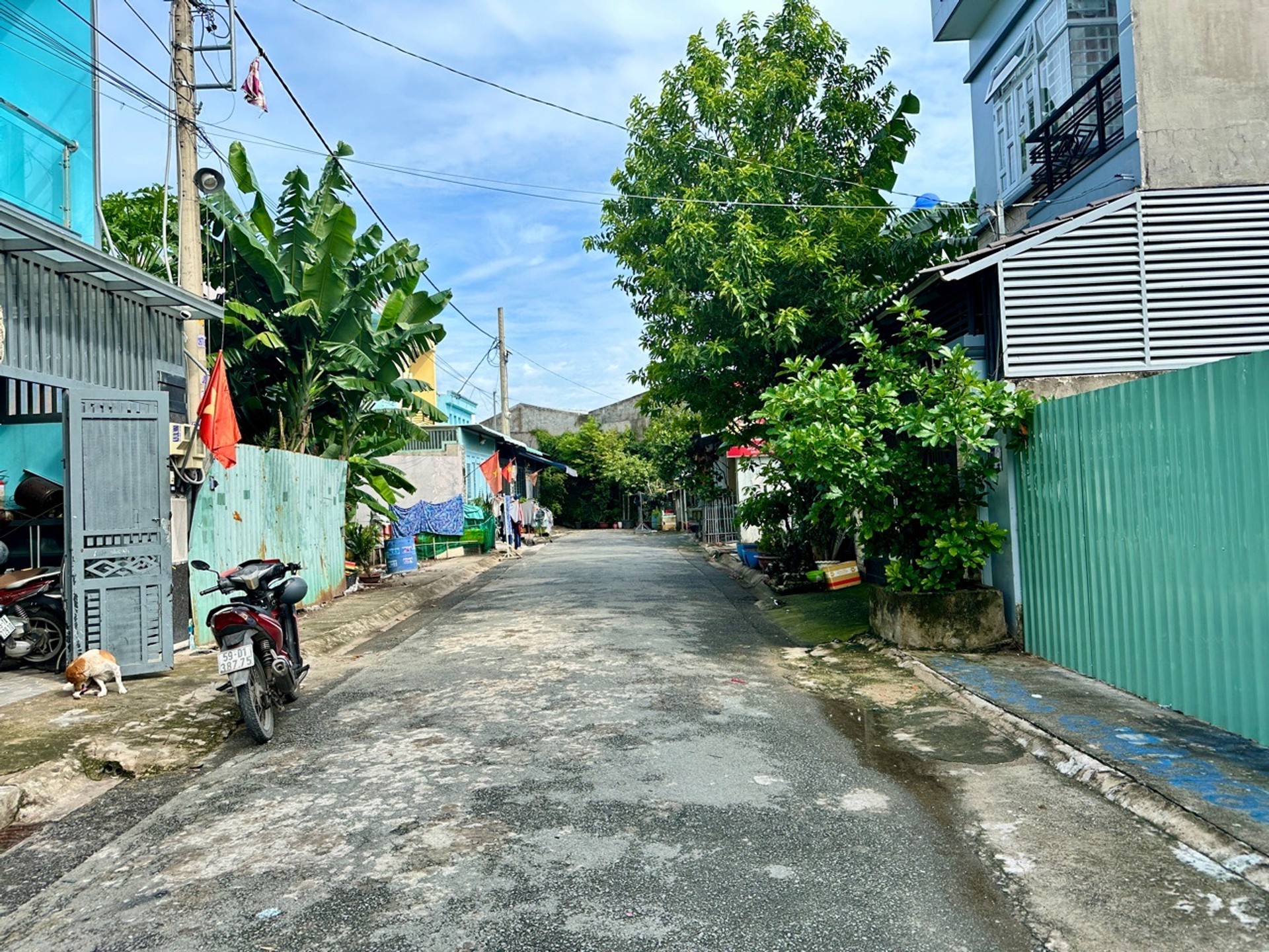 Bán đất 92,7m² đường nhựa, Thới Tam Thôn, Hocs Môn, 3.x tỷ