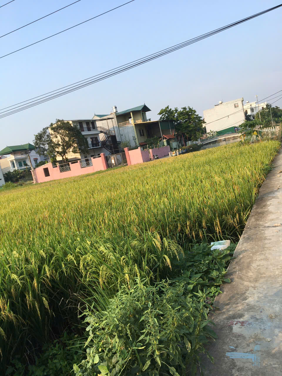 Lô đất vuông vắn, mặt tiền rộng tại khu dân trí cao Nguyễn Văn Huy