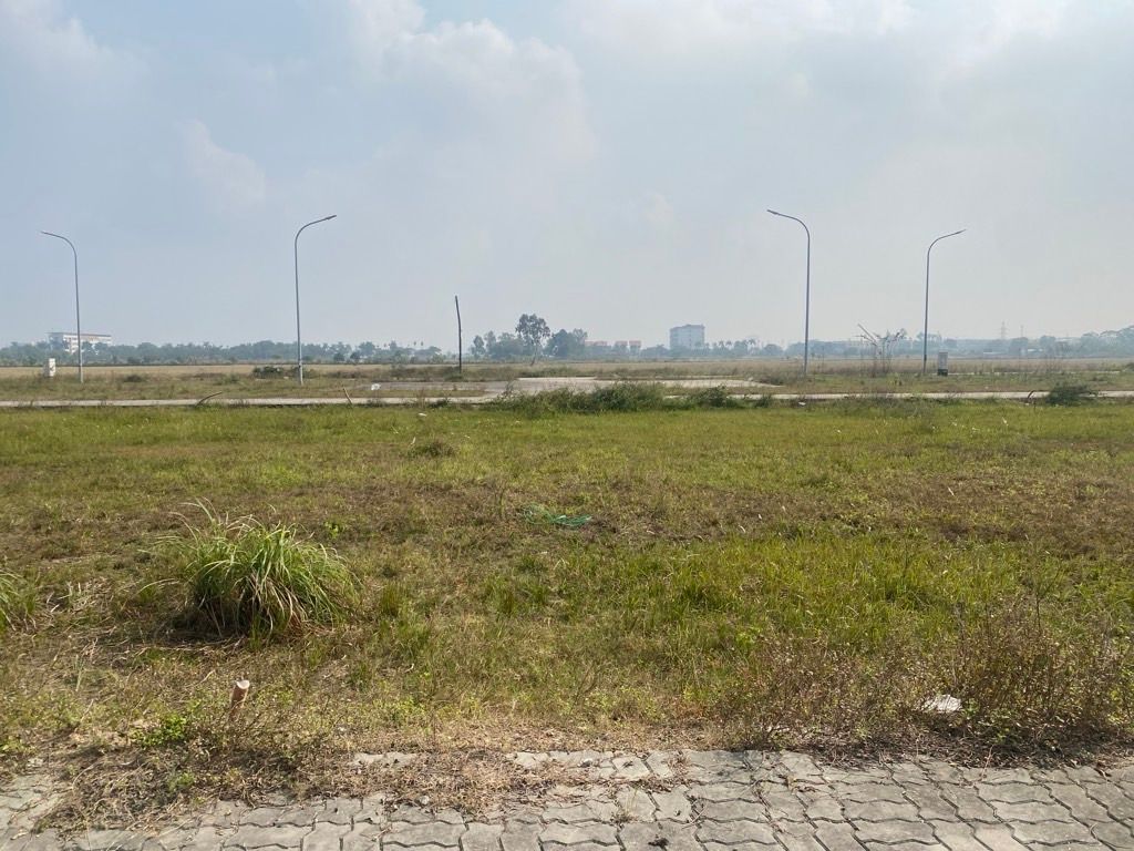 Bán đất 115m2 mặt tiền 5m tại xã Tam Đa Yên Phong Bắc Ninh