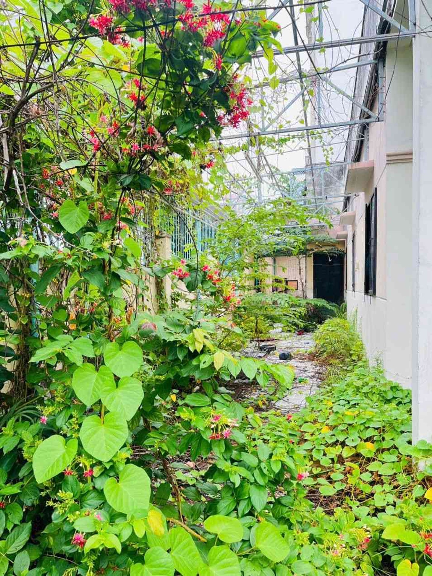 182m _ nhà sân vườn _ lô góc _ hẻm xe tải