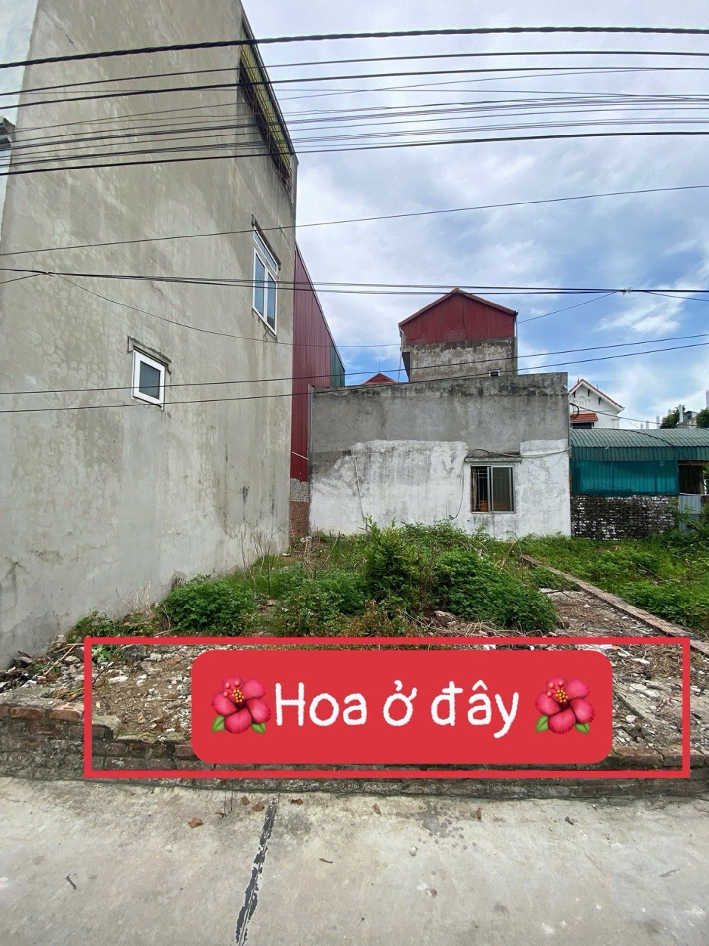 Bán lô đất 56 m chính chủ xã Mê Linh
Hà Nội