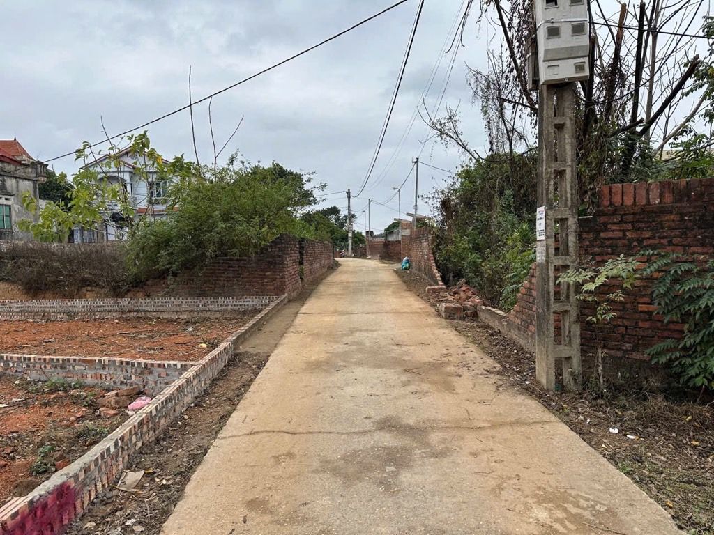 Bán đất 129m2 thôn Nam Cương, xã Hiền Ninh(cũ) - xã Nội Bài(mới), đường ô tô vào tận nơi