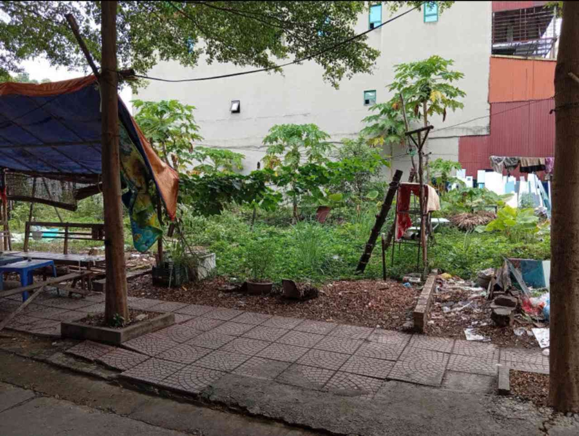 Đất chị Long ngay kcn sam sung yên phong, ngõ Ôtô, nhỉnh 2 tỷ