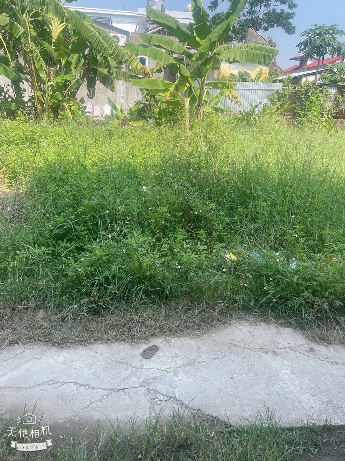 ĐÔNG XUÂN - SÓC SƠN - ĐẤT ĐẸP - ĐẦU TƯ