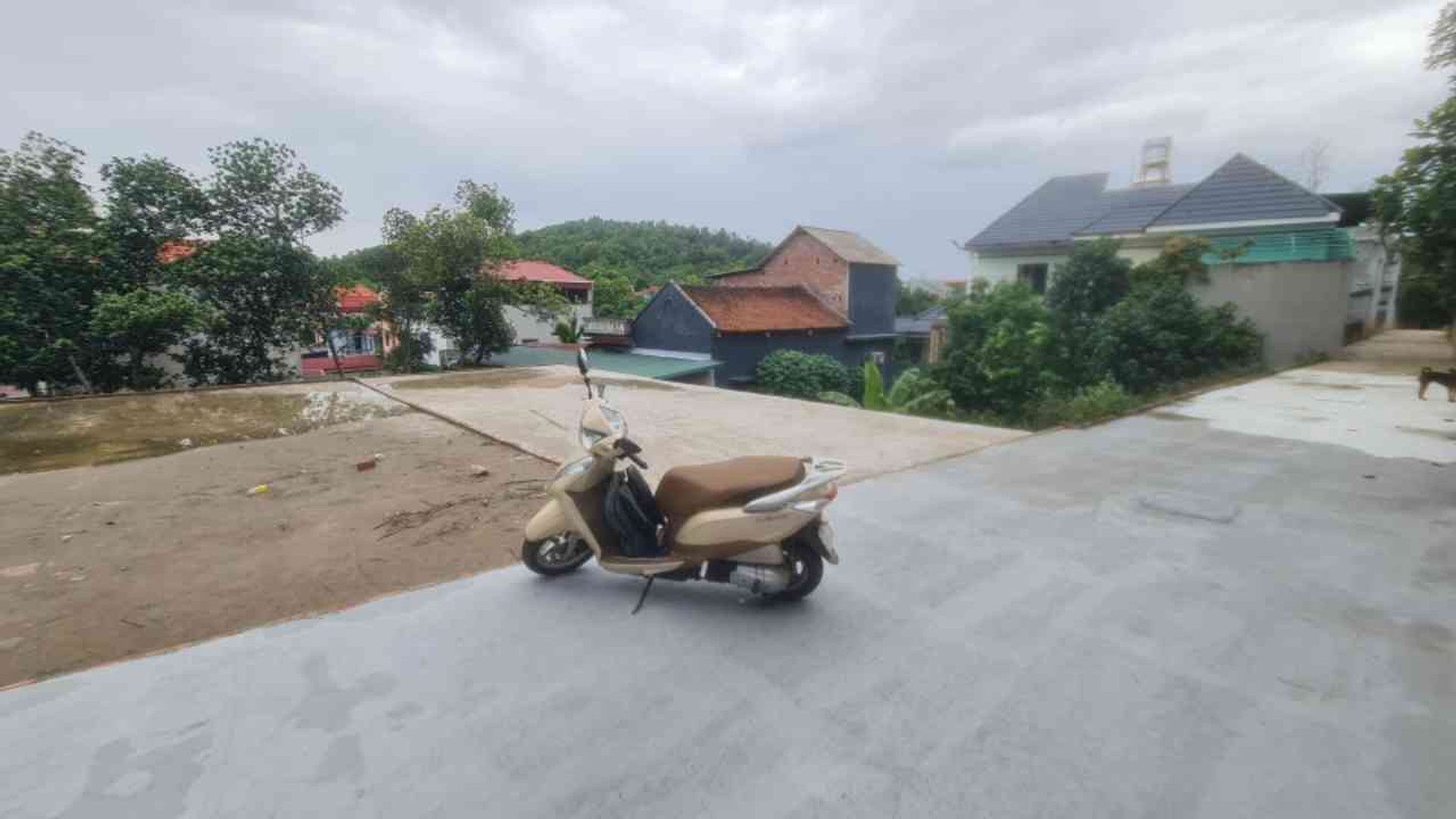 Bán đất thổ cư 76.5m² hướng Đông tại Thôn Cổ Miếu, Phật Tích, giá ưu đãi