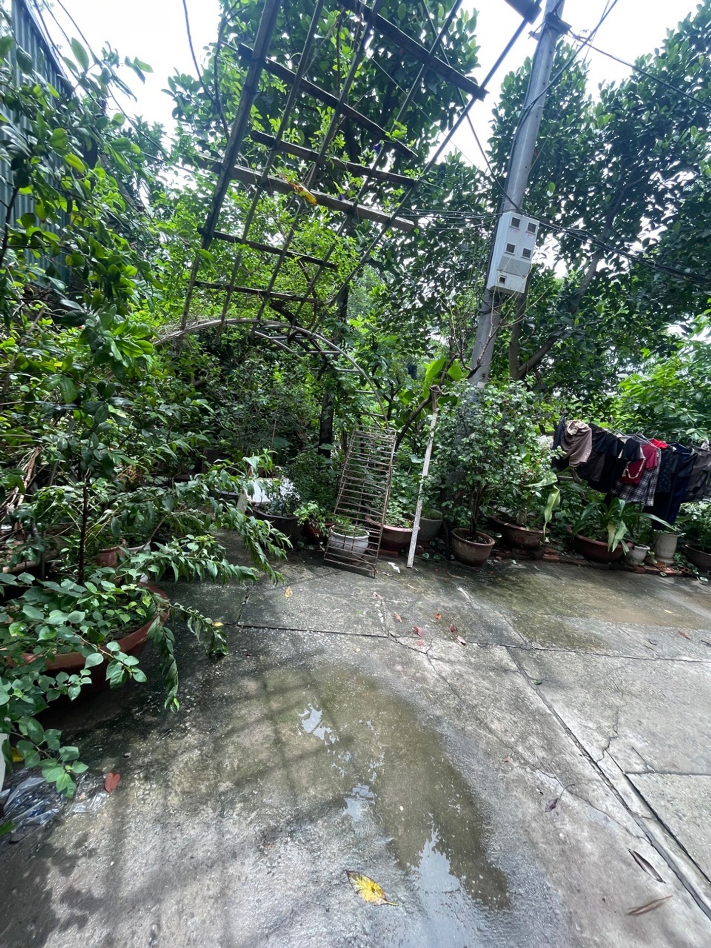 MẢNH ĐẤT ĐẸP- GIÁ ĐẦU TƯ- NGAY HỒNG TIẾN - NGỌC THUỴ