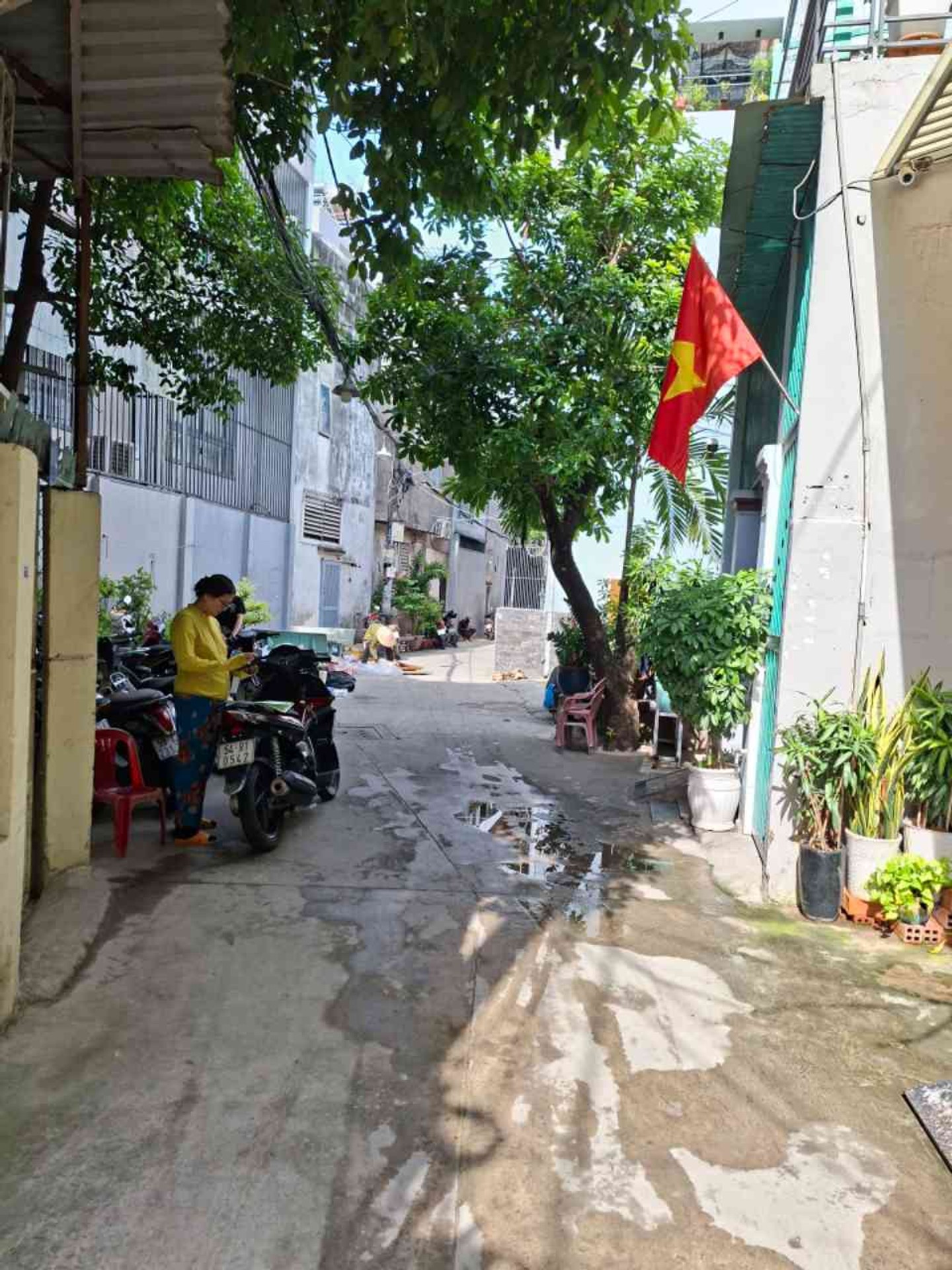 💥💥GÒ VẤP.BÙI QUANG LÀ $ HẠ CÒN 8.9 TL
👉DT: 85M2( 5.3 ×22.7 )
👉HẺM XE TẢI - MUA ĐẤT TẶNG NHÀ -