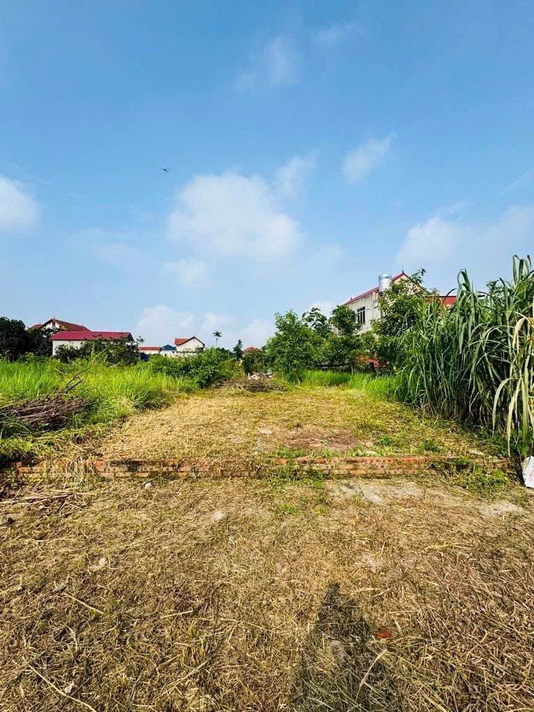 Bán 72m đất chính chủ tại Quán Trạch - Văn Giang - Hưng Yên- đường thông oto đỗ cửa